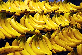 upload.wikimedia.org_wikipedia_commons_thumb_4_4c_bananas.jpg_320px-bananas.jpg
